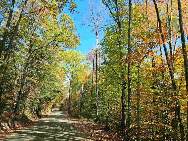 $325,000 | Lot 90 Faraway Road, Dalton, NH 03598