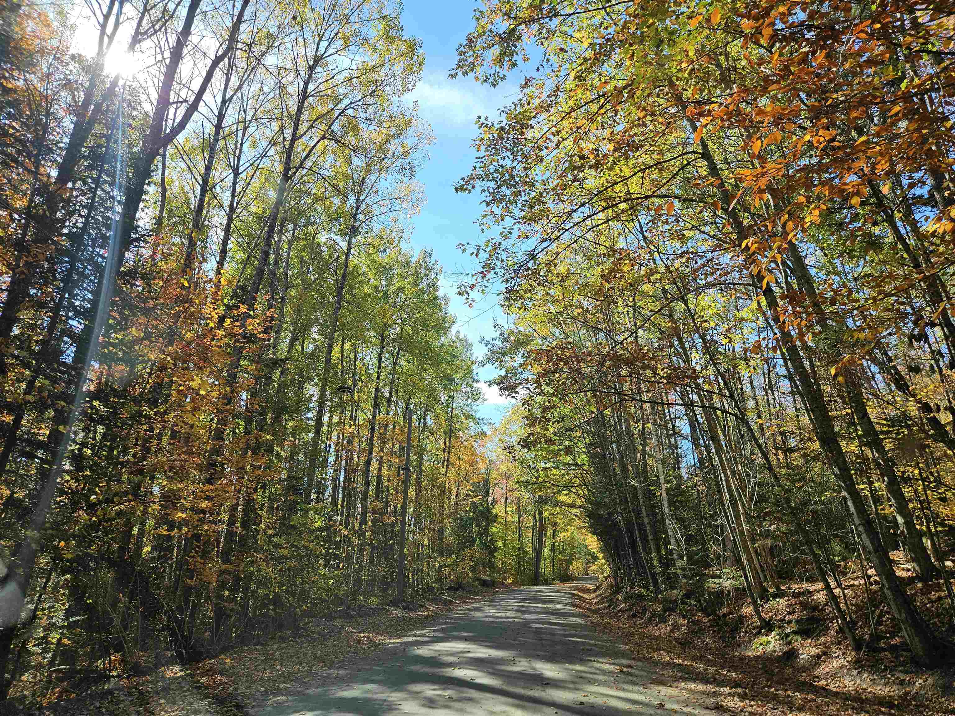 Lot 90 Faraway Road Dalton, NH 03598 - Photo 25 of 33