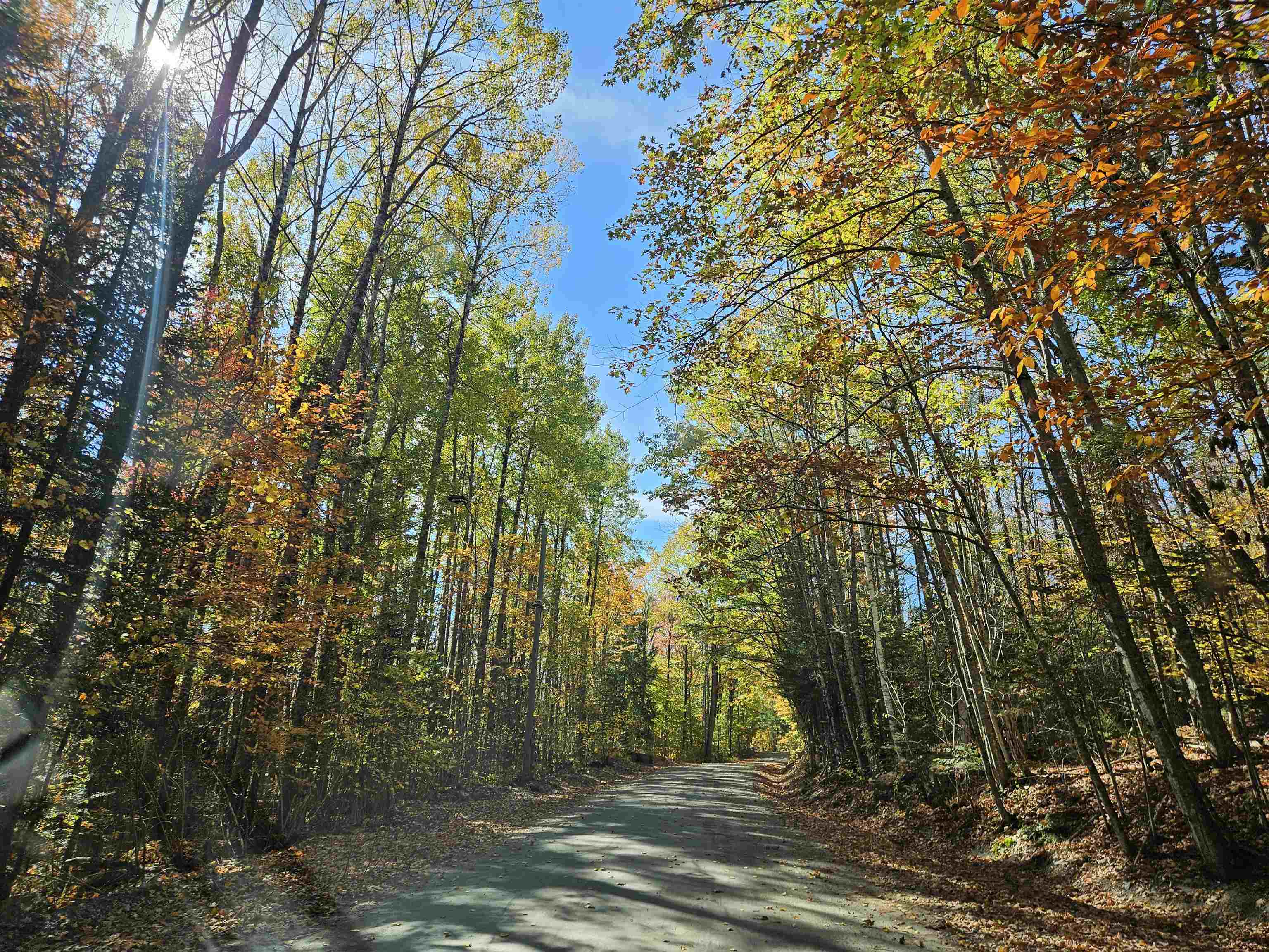 Lot 90 Faraway Road Dalton, NH 03598 - Photo 26 of 33