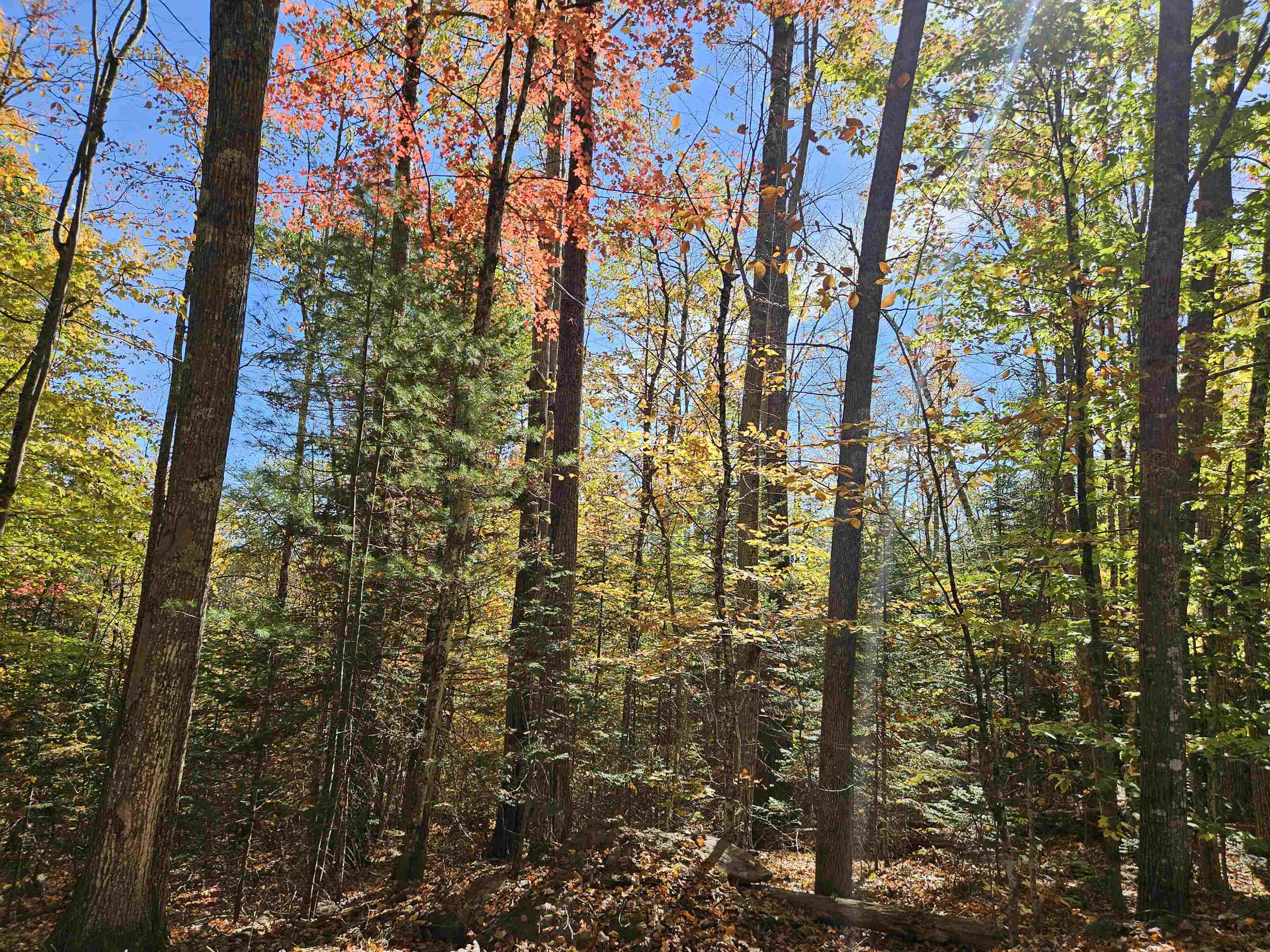 Lot 90 Faraway Road Dalton, NH 03598 - Photo 27 of 33