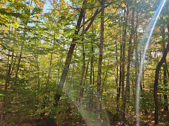 $325,000 | Lot 90 Faraway Road, Dalton, NH 03598