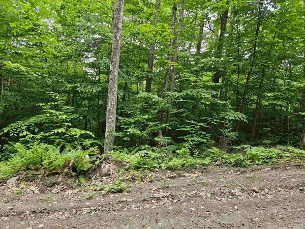 $325,000 | Lot 90 Faraway Road, Dalton, NH 03598