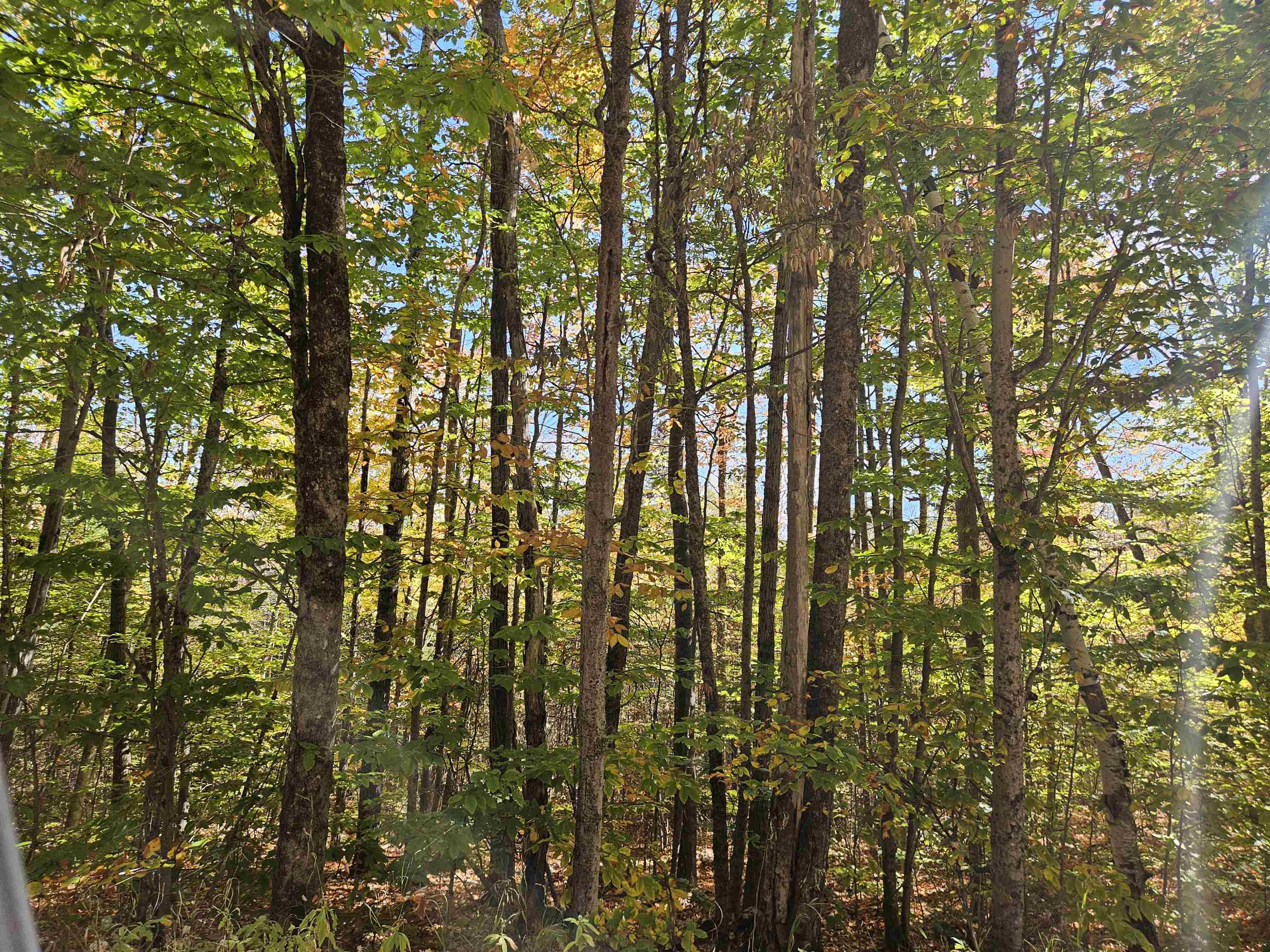 Lot 90 Faraway Road Dalton, NH 03598 - Photo 31 of 33