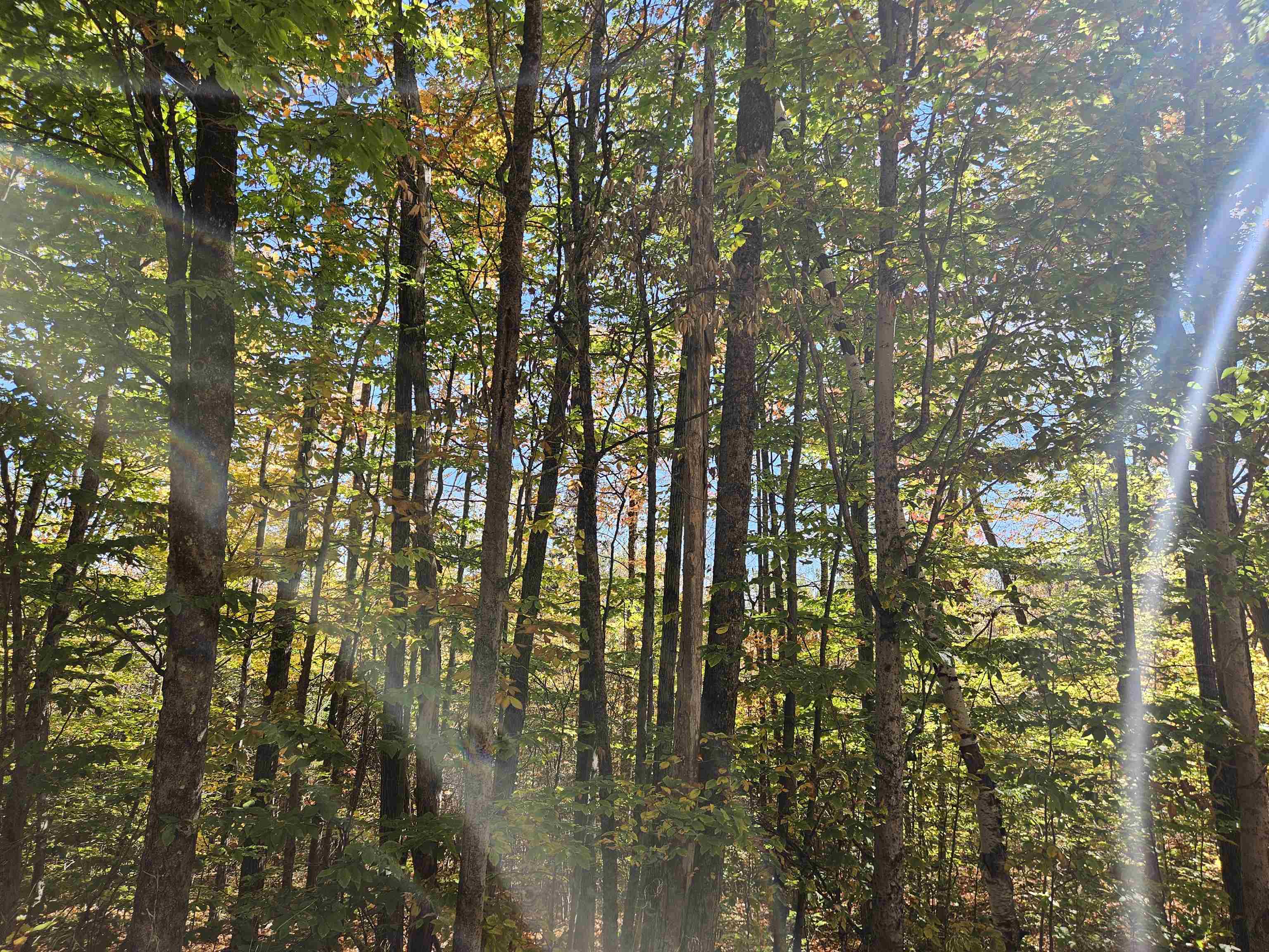 Lot 90 Faraway Road Dalton, NH 03598 - Photo 32 of 33