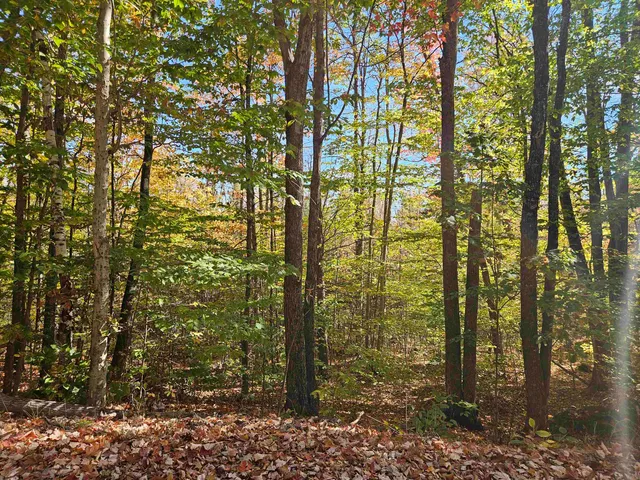 $325,000 | Lot 90 Faraway Road, Dalton, NH 03598