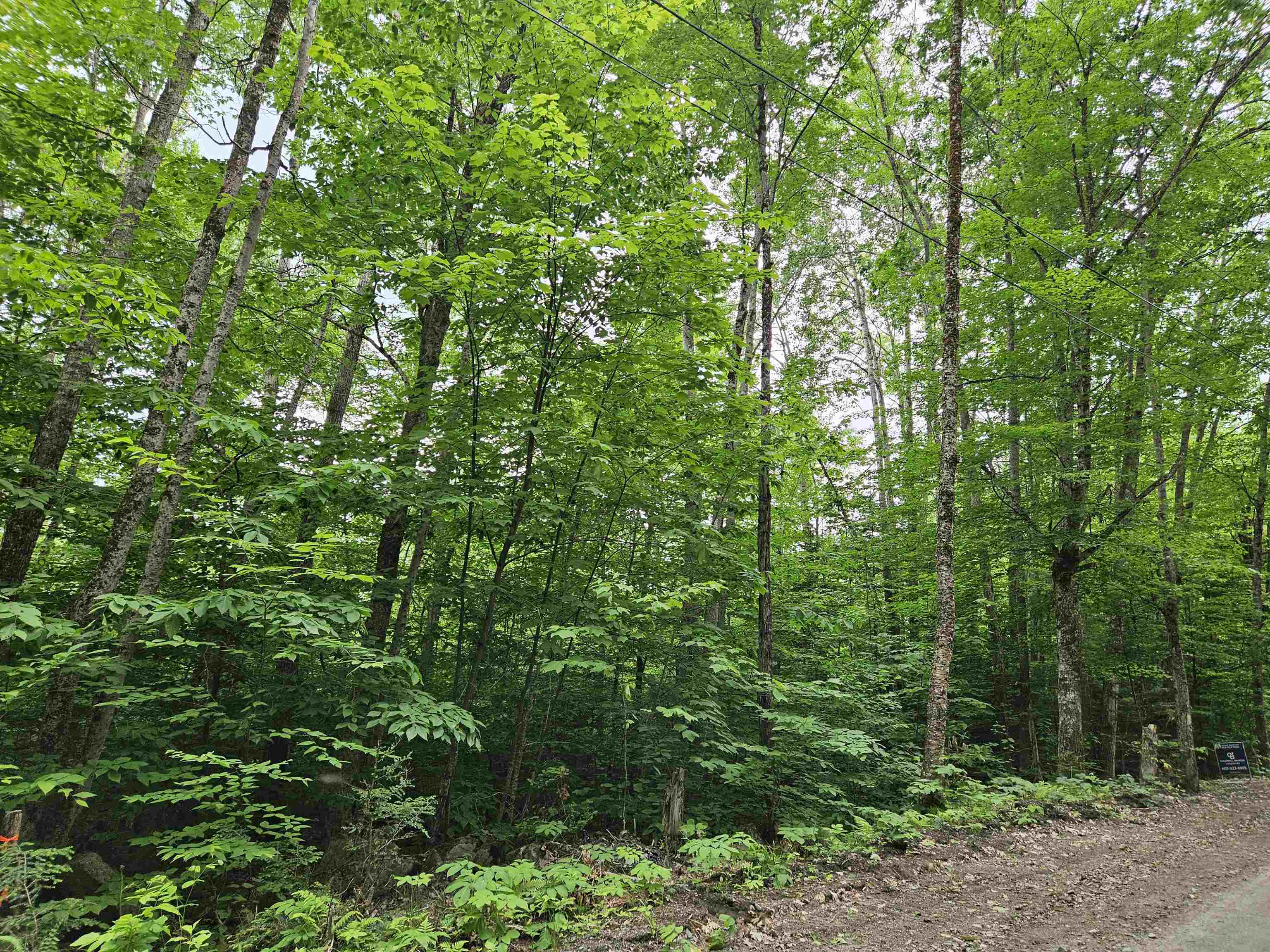 Lot 90 Faraway Road Dalton, NH 03598 - Photo 4 of 33