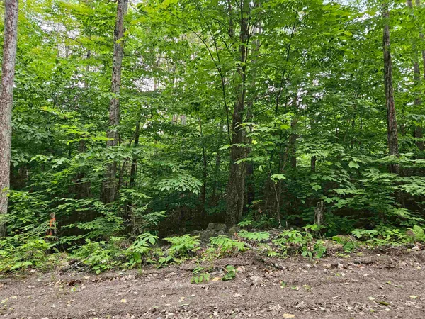 $325,000 | Lot 90 Faraway Road, Dalton, NH 03598