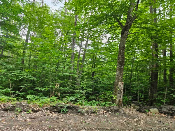 $325,000 | Lot 90 Faraway Road, Dalton, NH 03598