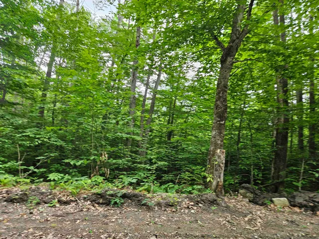 $325,000 | Lot 90 Faraway Road, Dalton, NH 03598