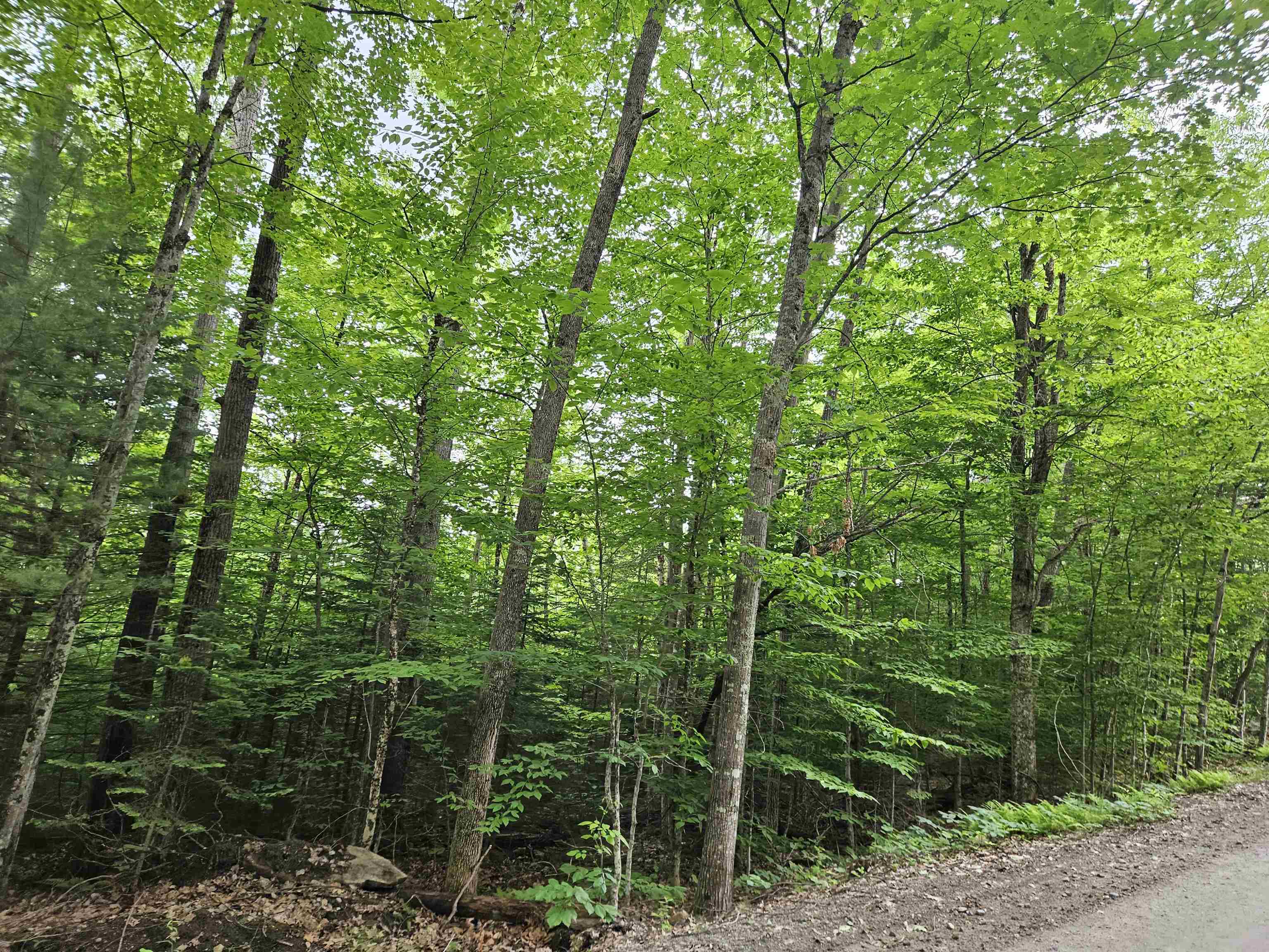 Lot 90 Faraway Road Dalton, NH 03598 - Photo 9 of 33