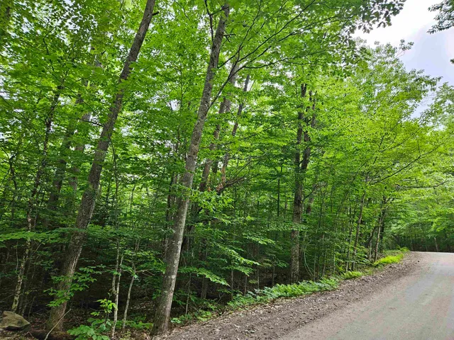 $325,000 | Lot 90 Faraway Road, Dalton, NH 03598