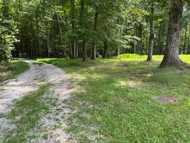 0 War Fork Road McKee, KY 40447 - Photo 9 of 12 Acreage Road