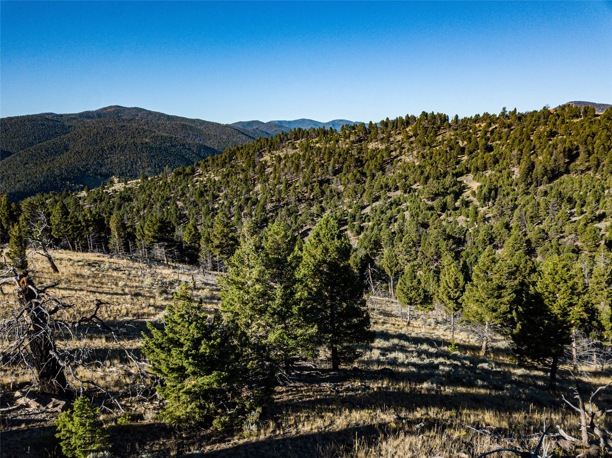Tbd (40.1-ac) Tbd (40.1-ac) High Ore Road Boulder, MT 59632 - Photo 20 of 62 Gallery Image 20