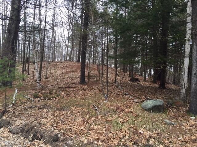 Lot 4 Highland Cliff Road Windham, ME 04062 - Photo 1 of 1 syl4