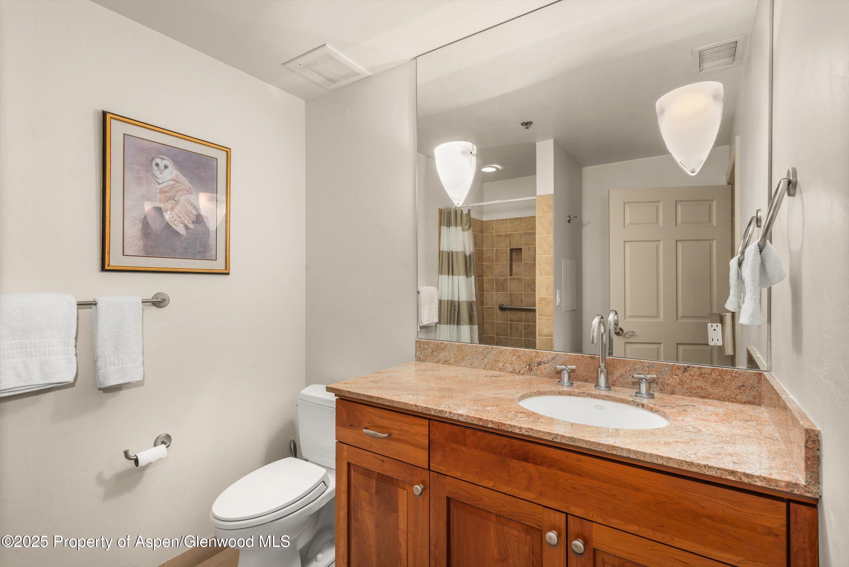 227 Midland Avenue, Unit 22 Basalt, CO 81621 - Photo 37 of 42 a bathroom with a granite countertop toilet sink and mirror