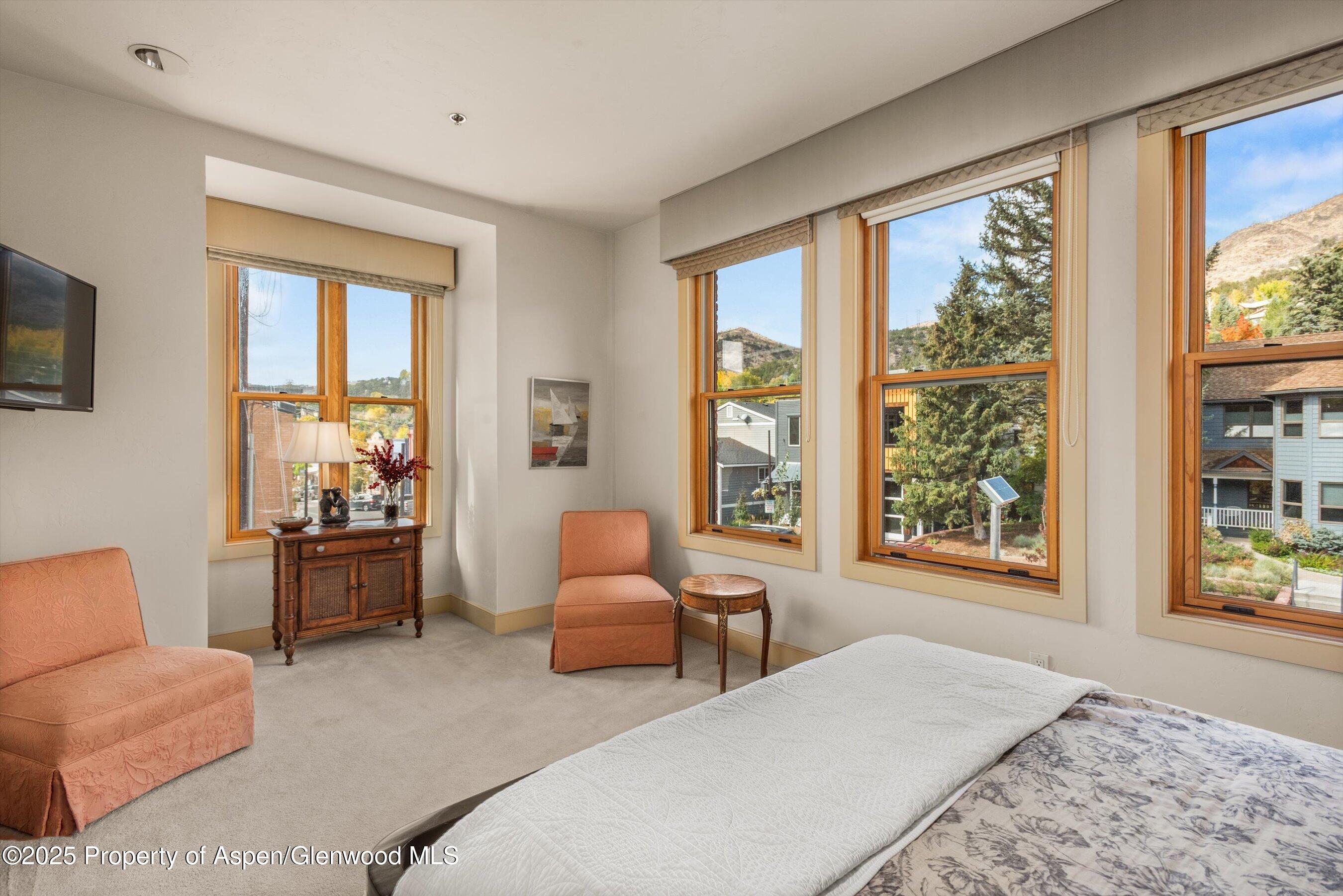 227 Midland Avenue, Unit 22 Basalt, CO 81621 - Photo 38 of 42 a bedroom with furniture and large windows