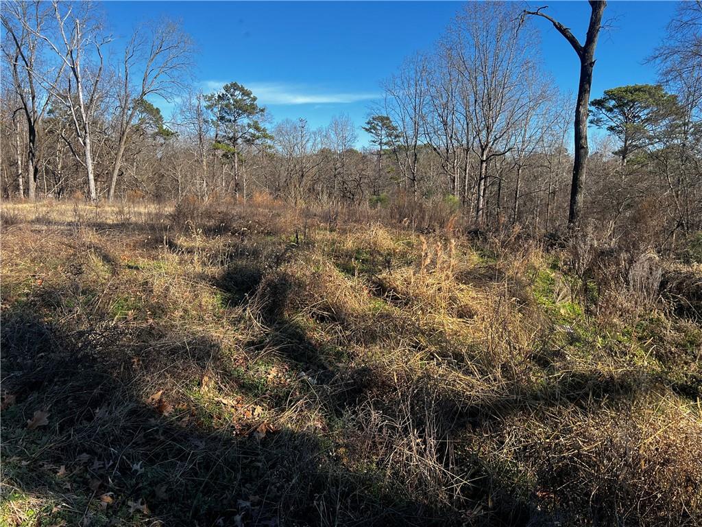 3092 Miller Road Lithonia, GA 30038 - Photo 7 of 9