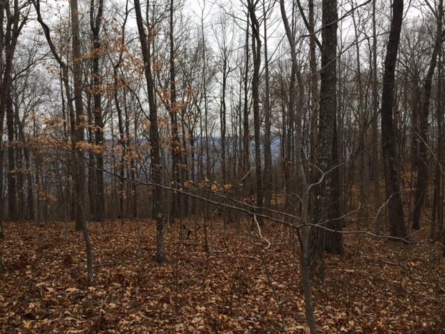 25 Jackson Point Road, Unit 25 Sewanee, TN 37375 - Photo 2 of 7 IMG_2841