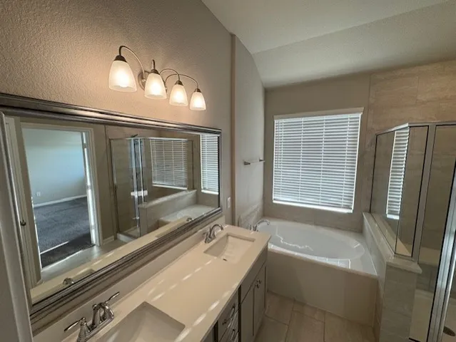 a bathroom with a tub a double vanity sink and a large mirror