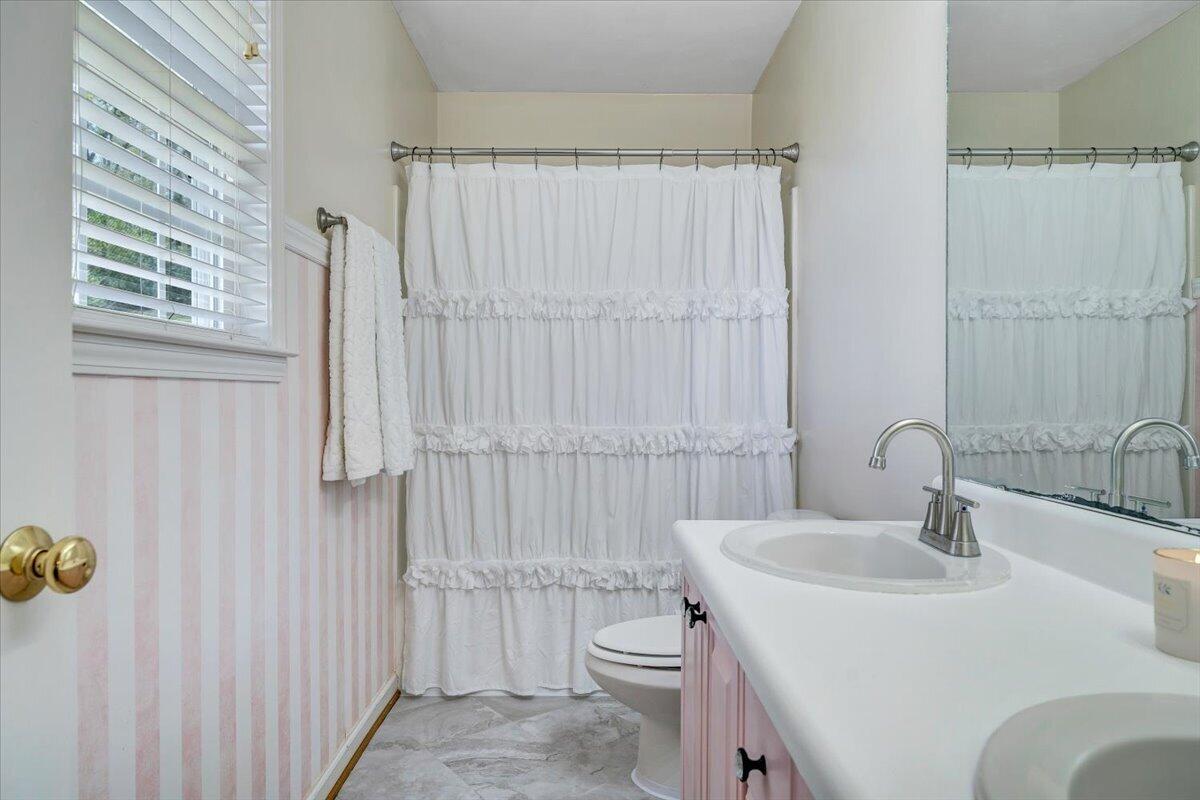 686 Pine Haven Road Fincastle, VA 24090 - Photo 27 of 56 a bathroom with a sink a toilet and shower curtain