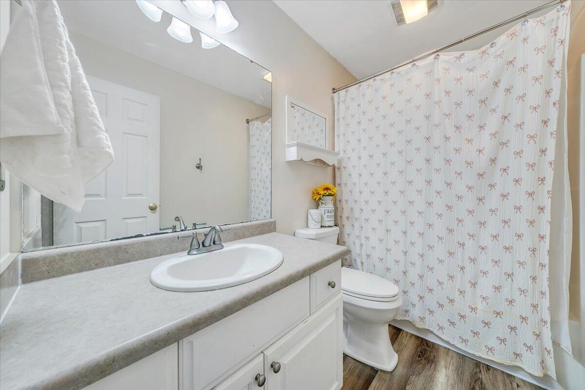 686 Pine Haven Road Fincastle, VA 24090 - Photo 34 of 56 a bathroom with a sink toilet and shower
