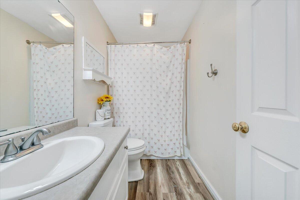686 Pine Haven Road Fincastle, VA 24090 - Photo 35 of 56 a bathroom with a sink toilet and shower