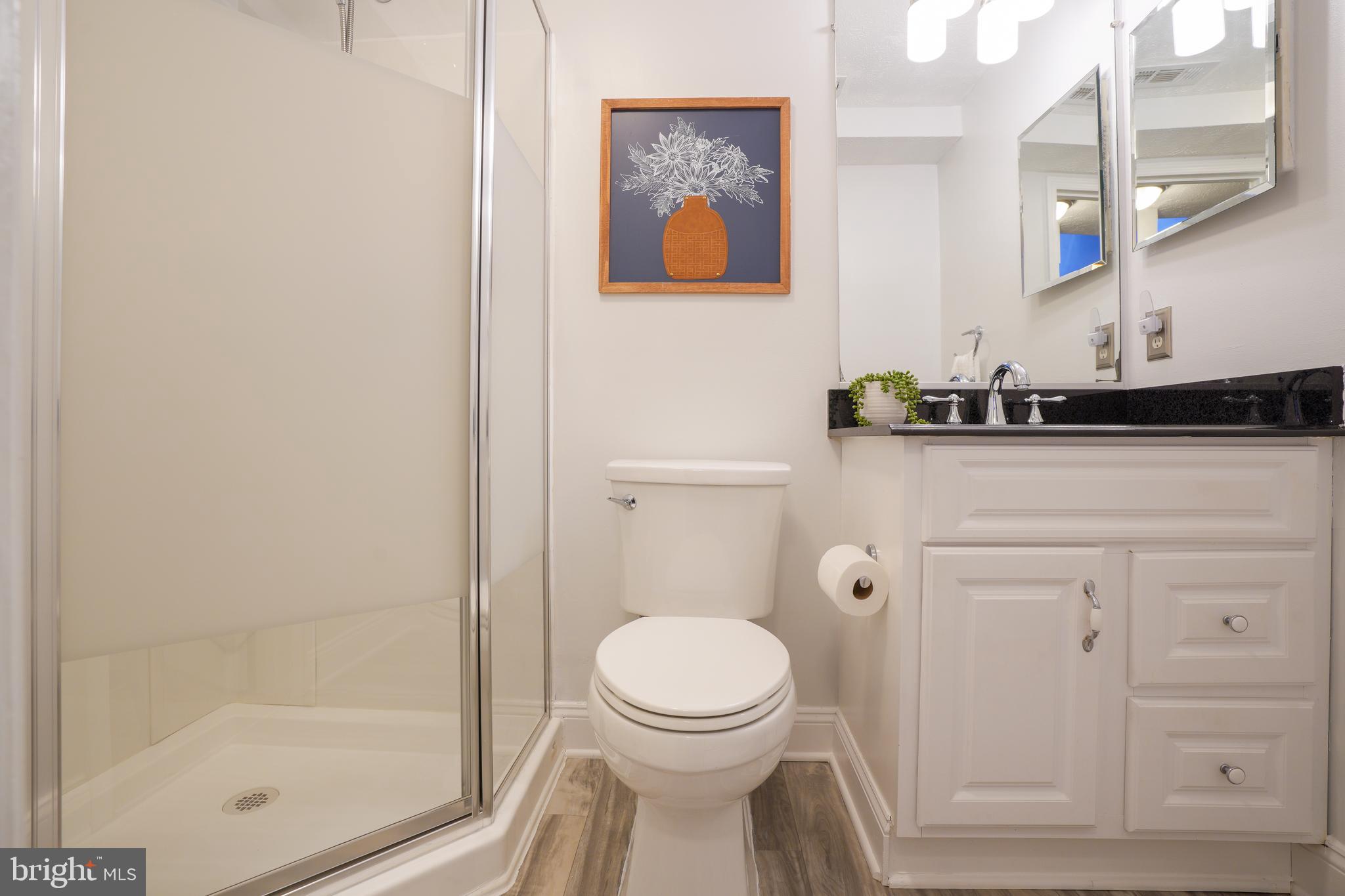 2251 Riding Crop Way Windsor Mill, MD 21244 - Photo 19 of 24