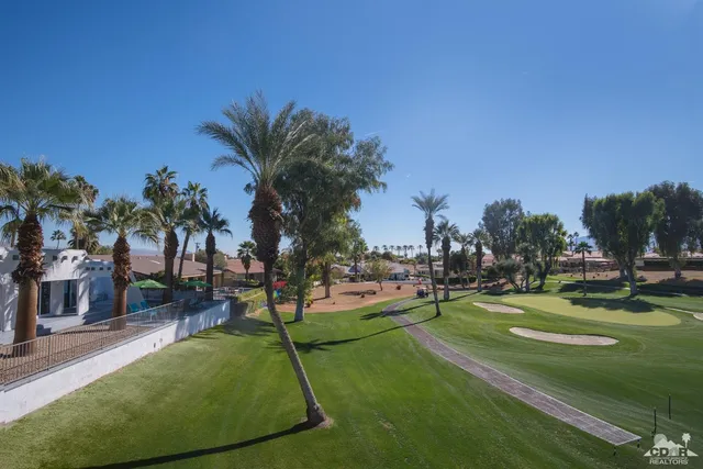 a view of a park with large trees