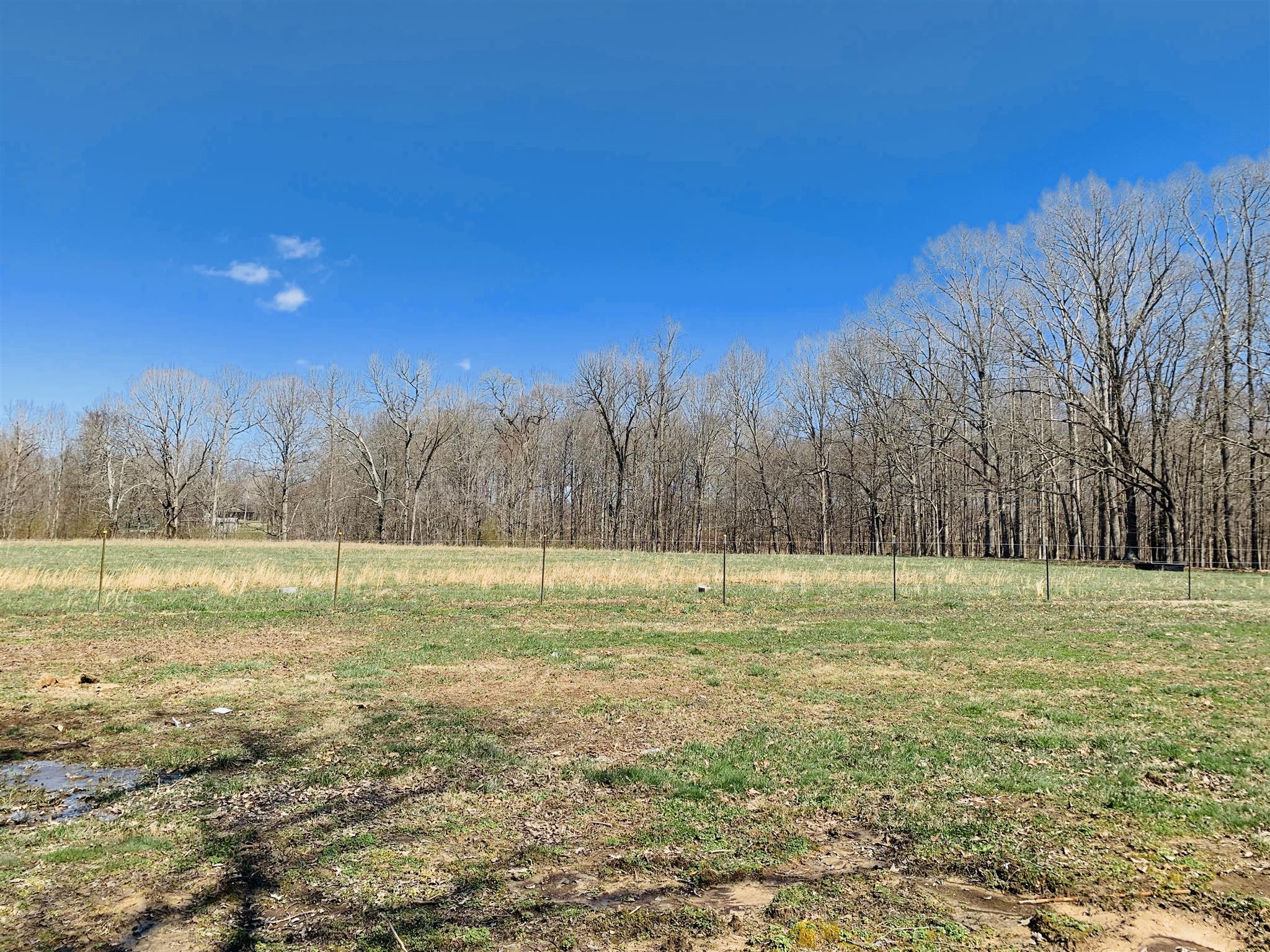 1360 Sixteenth Model Road Manchester, TN 37355 - Photo 3 of 30 a view of outdoor space with trees all around