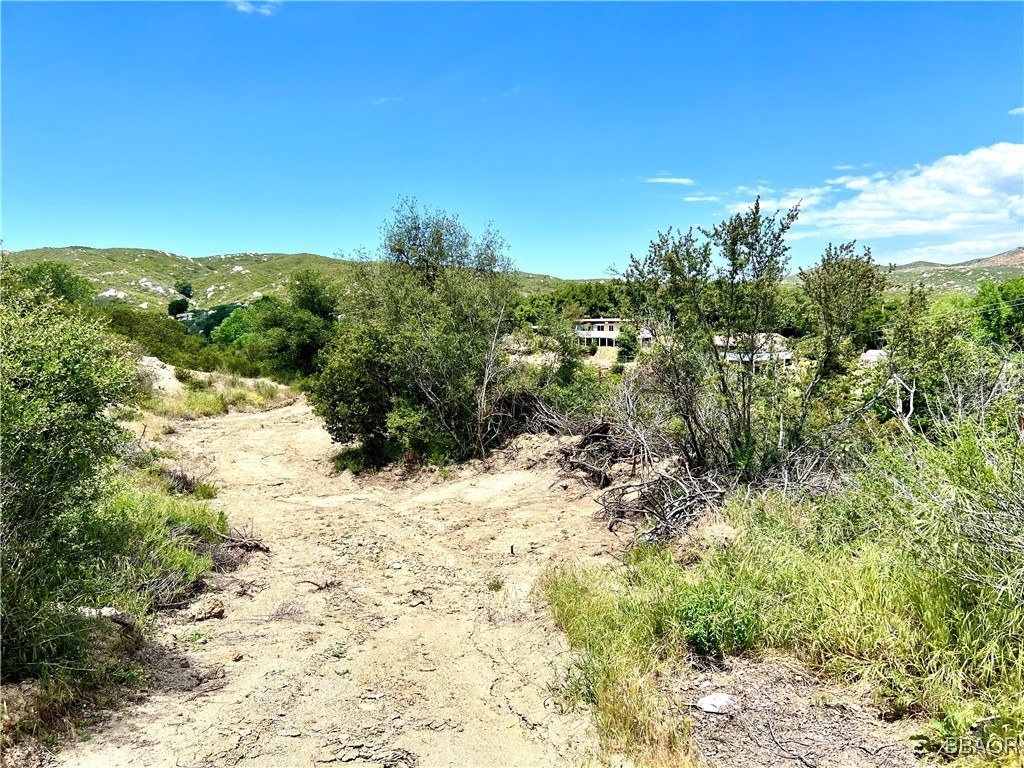 45902 Lynx Street Banning, CA 92220 - Photo 3 of 9 a view of a yard with a tree