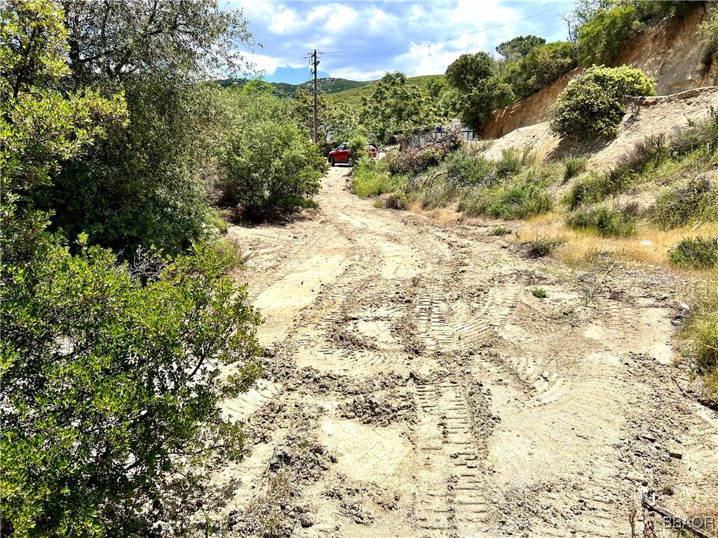 45902 Lynx Street Banning, CA 92220 - Photo 4 of 9 a view of a yard with plants and large trees