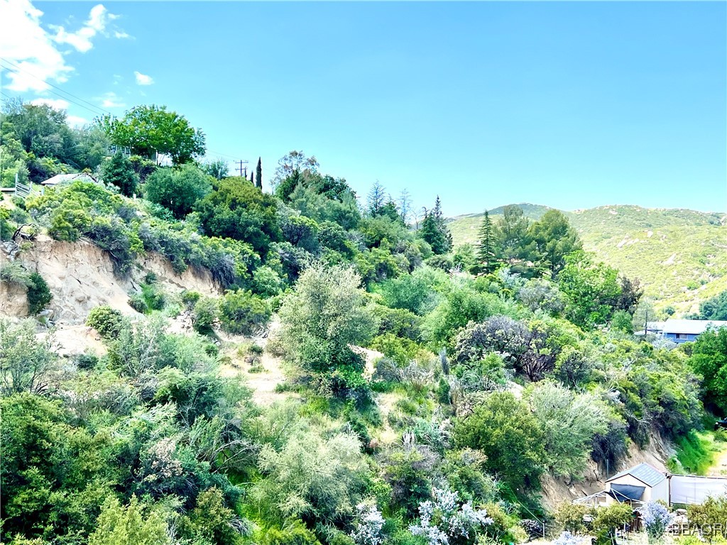 45902 Lynx Street Banning, CA 92220 - Photo 9 of 9 an aerial view of residential house with outdoor space and trees all around