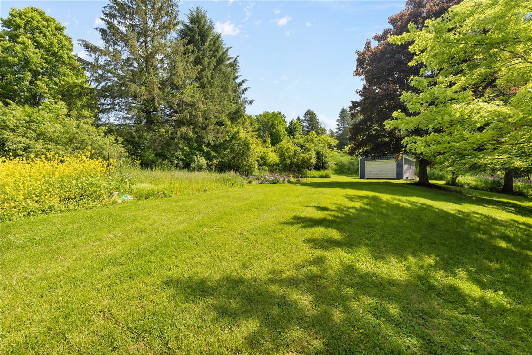 8471 Alpaugh Road Springwater, NY 14572 - Photo 14 of 25 Side yard