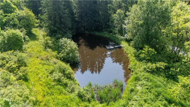 $324,999 | 8471 Alpaugh Road, Springwater, NY 14572