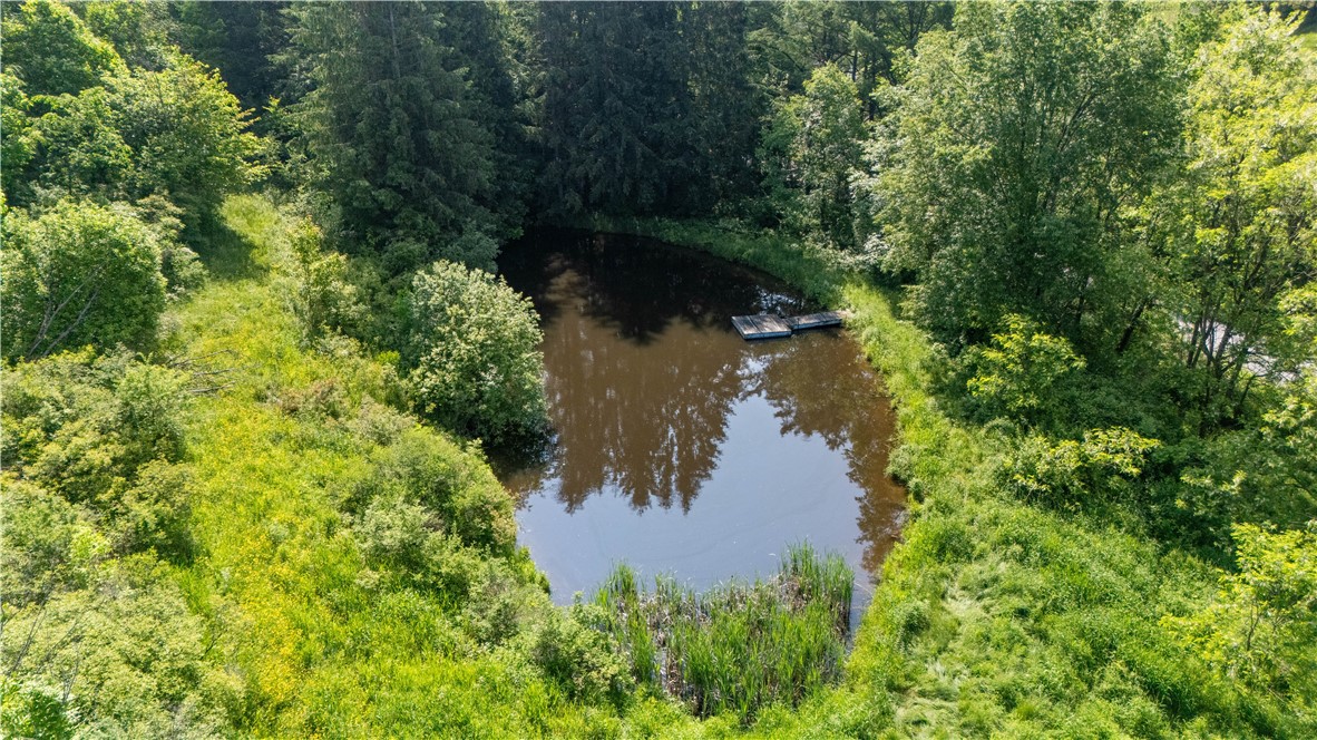 8471 Alpaugh Road Springwater, NY 14572 - Photo 15 of 25 pond