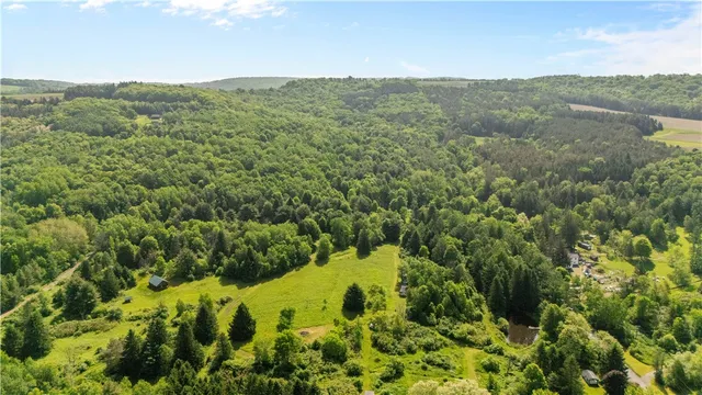 $324,999 | 8471 Alpaugh Road, Springwater, NY 14572