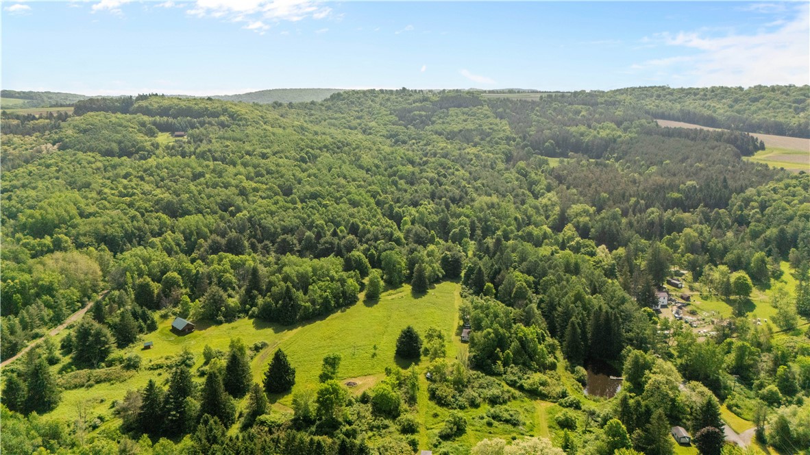 8471 Alpaugh Road Springwater, NY 14572 - Photo 17 of 25 Ariel view of the property