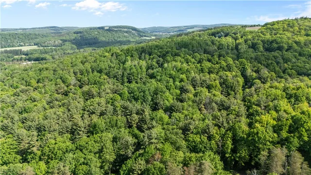 $324,999 | 8471 Alpaugh Road, Springwater, NY 14572