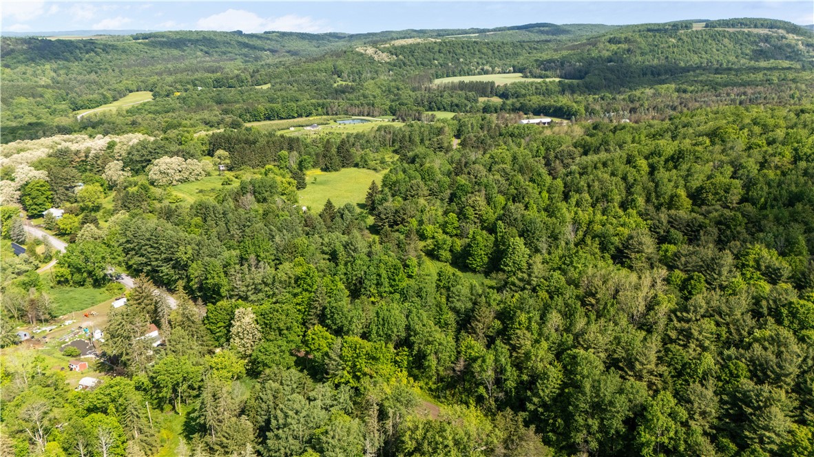 8471 Alpaugh Road Springwater, NY 14572 - Photo 20 of 25 ariel