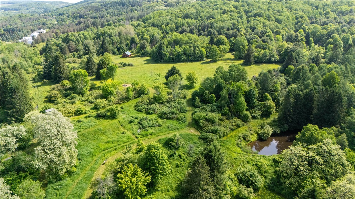 8471 Alpaugh Road Springwater, NY 14572 - Photo 21 of 25 ariel view