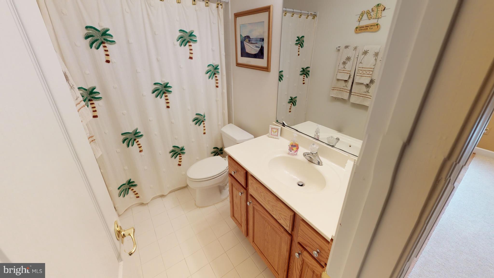 24723 Ridge Road Damascus, MD 20872 - Photo 25 of 29 Full Bath in Basement