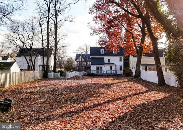 a street view with large trees