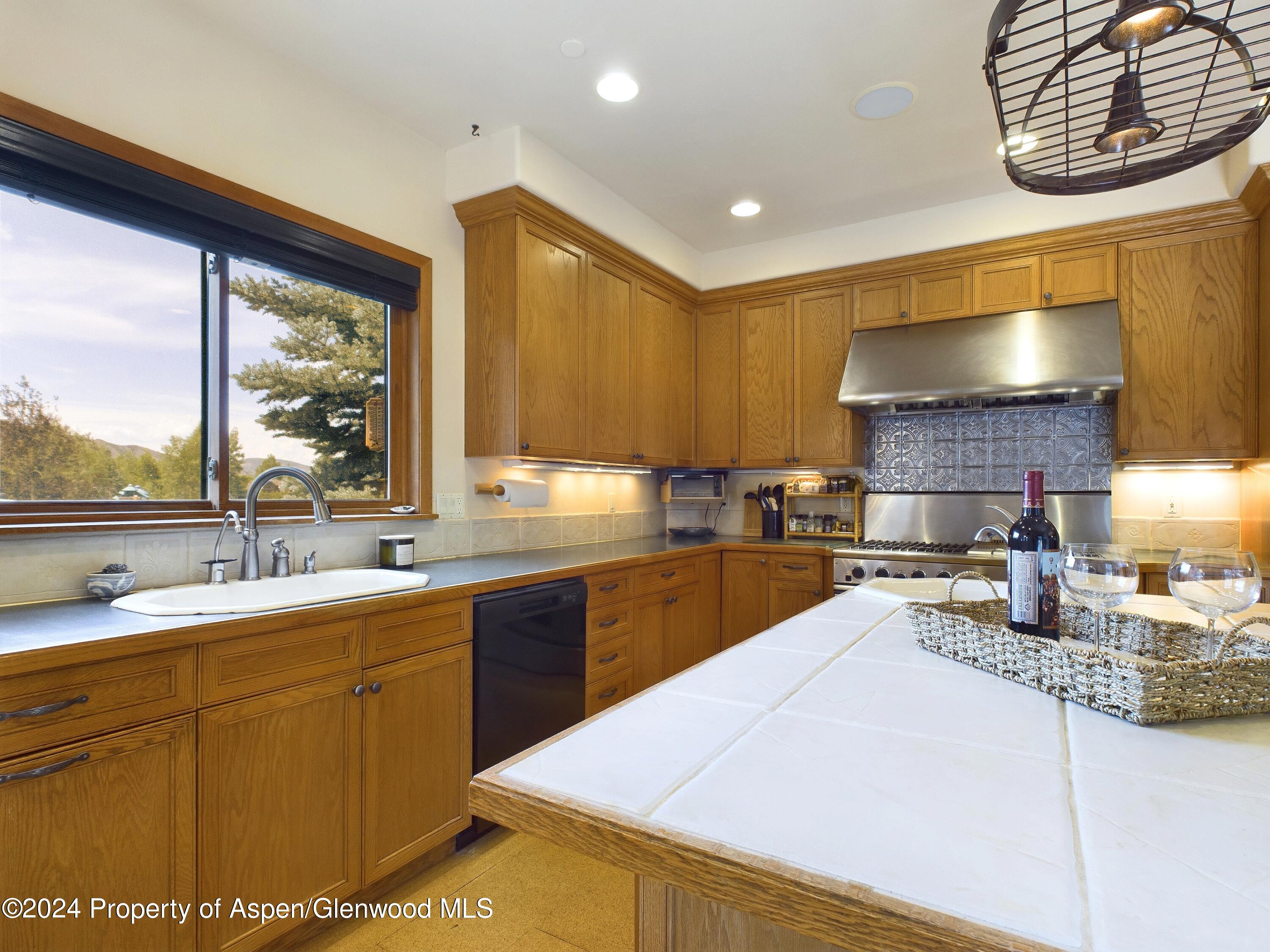 170 Totterdown Road Aspen, CO 81611 - Photo 13 of 47 CAM03799G0-PR0013-STILL024