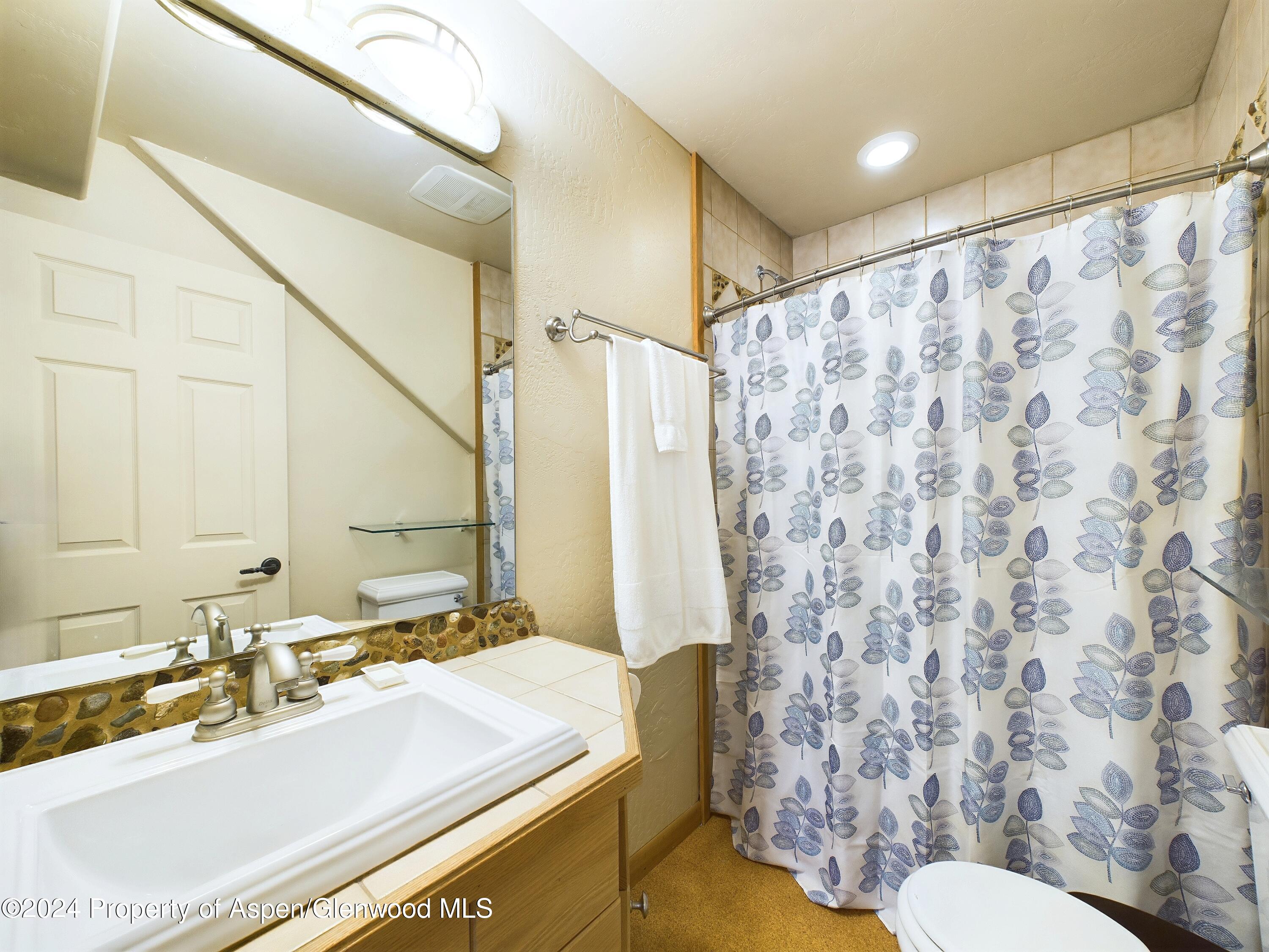 170 Totterdown Road Aspen, CO 81611 - Photo 3 of 47 CAM03799G0-PR0013-STILL006