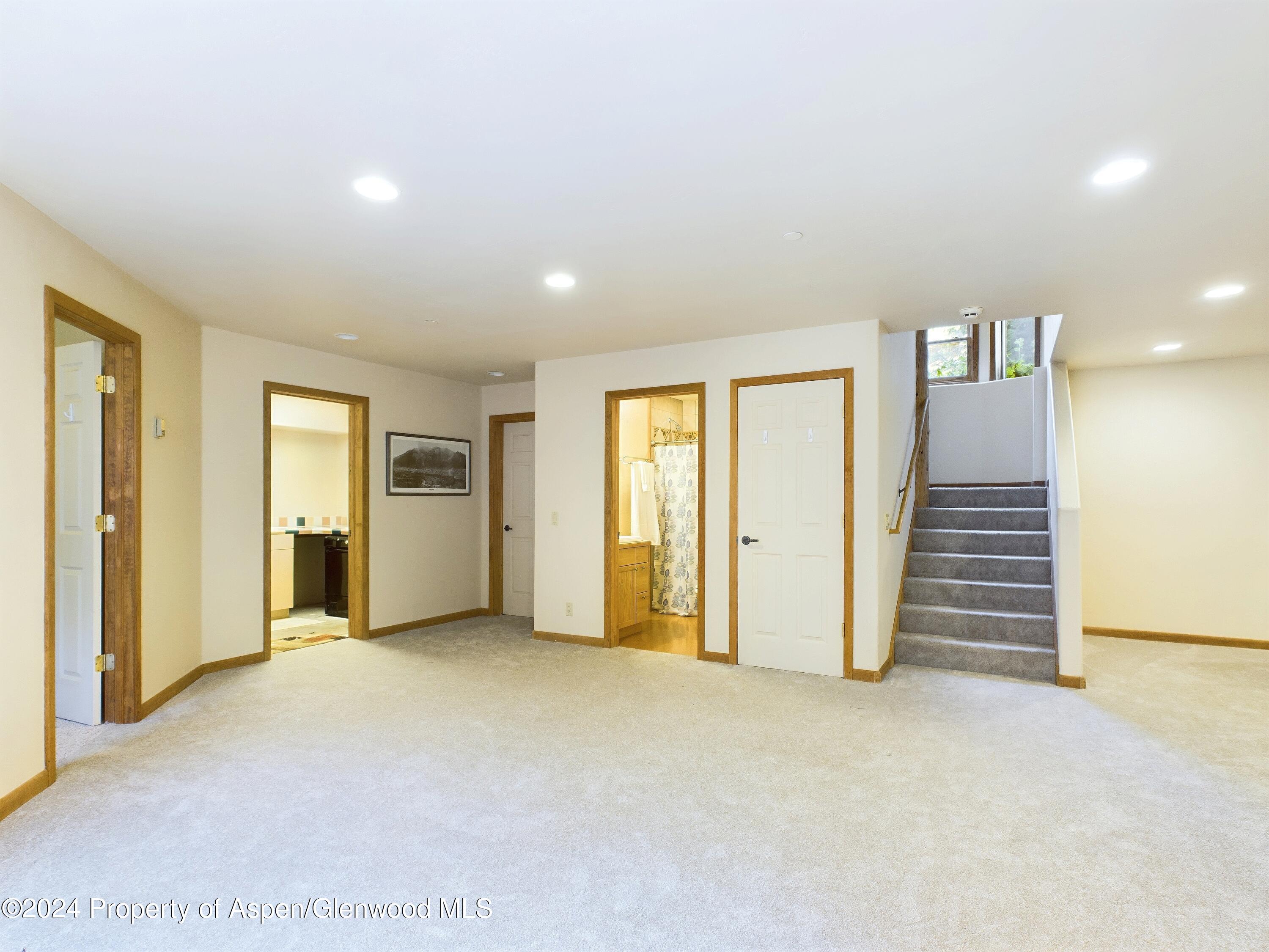 170 Totterdown Road Aspen, CO 81611 - Photo 5 of 47 CAM03799G0-PR0013-STILL010
