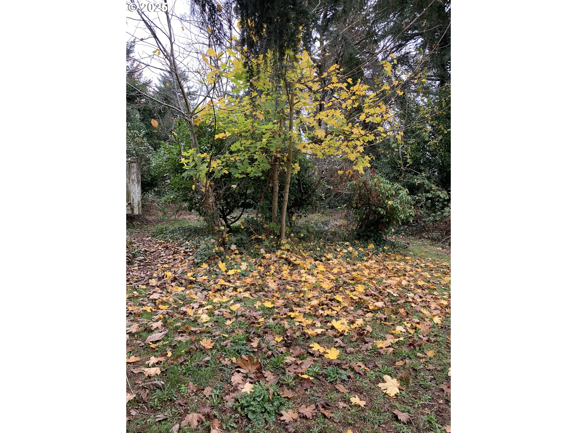 4635 Southeast 174th Avenue Portland, OR 97236 - Photo 4 of 20