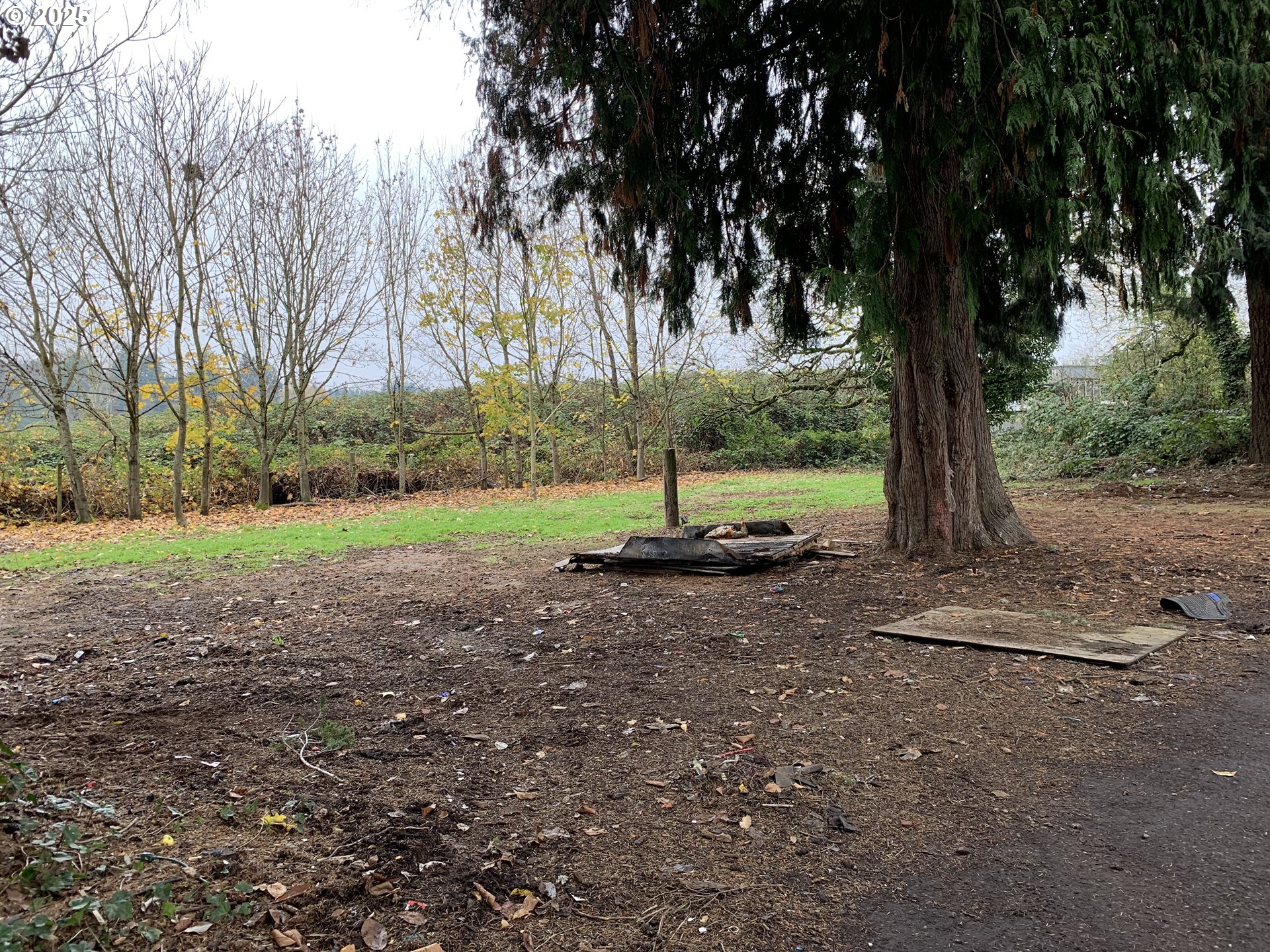 4635 Southeast 174th Avenue Portland, OR 97236 - Photo 7 of 20