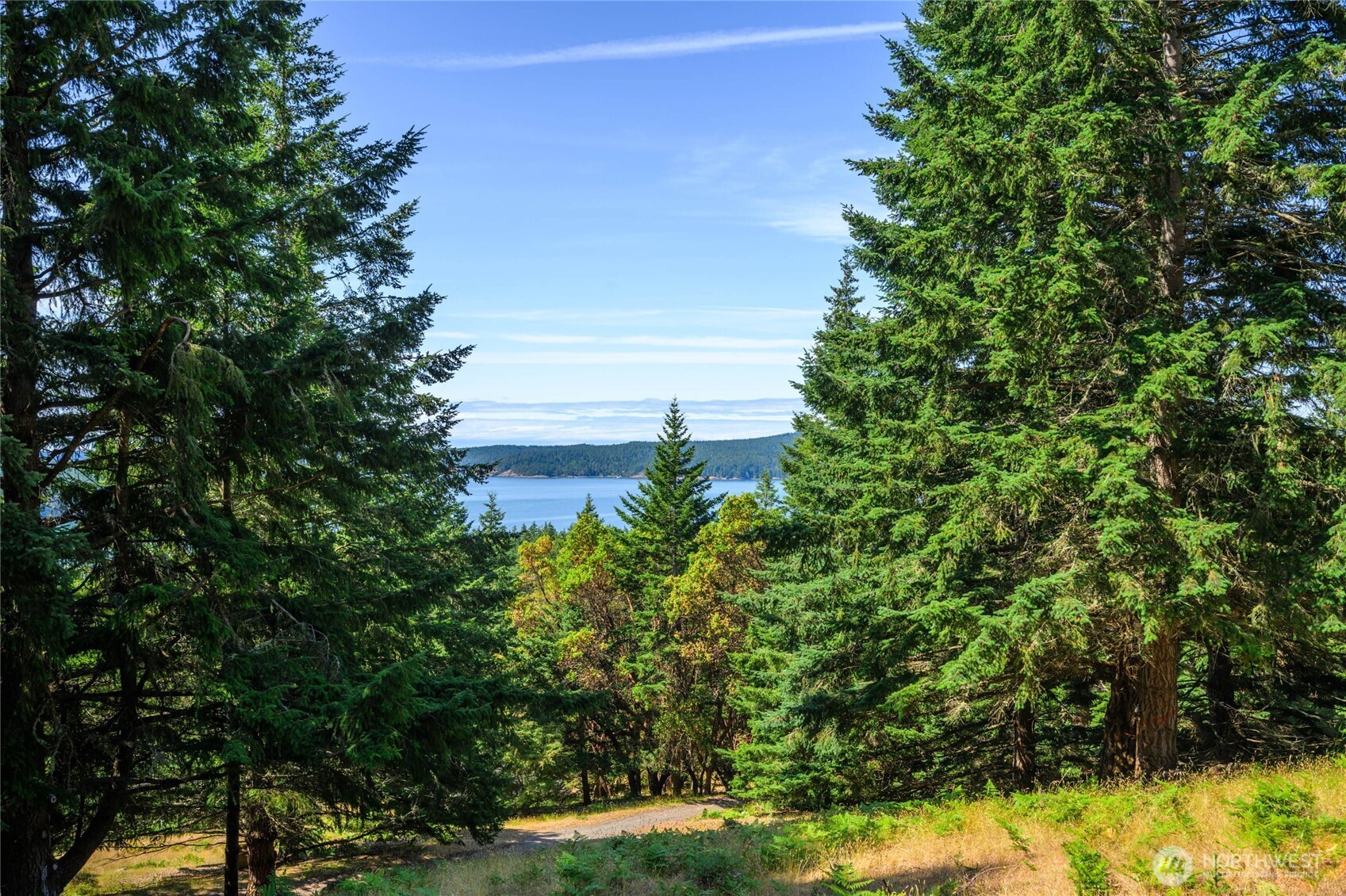 177 Harmon Ranch Hill Road Decatur Island, WA 98221 - Photo 20 of 37 a view of a yard
