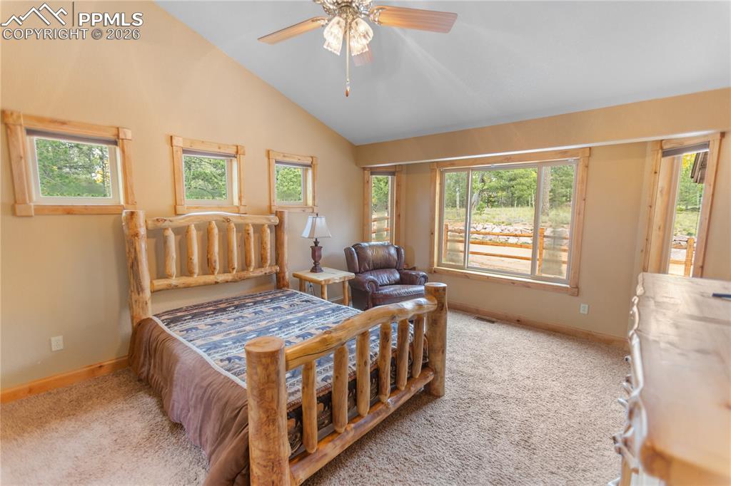 610 Cochetopa Road Florissant, CO 80816 - Photo 15 of 40 Main level master suite