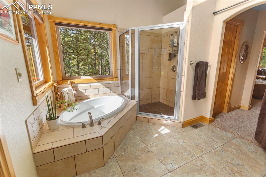 610 Cochetopa Road Florissant, CO 80816 - Photo 18 of 40 Main level master suite.